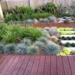 timber deck and stone garden northern beaches
